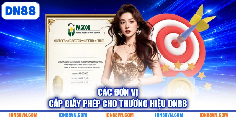 Các đơn vị cấp giấy phép cho thương hiệu DN88