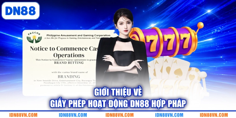 Giới thiệu về giấy phép hoạt động DN88 hợp pháp