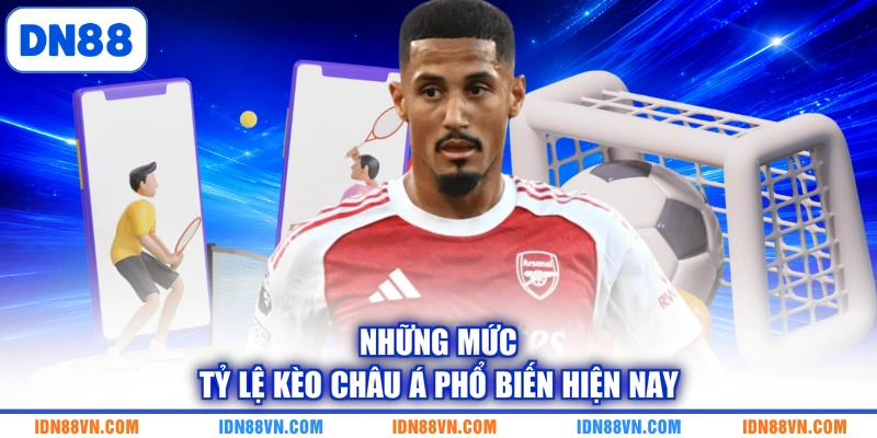 Những mức tỷ lệ kèo châu Á phổ biến hiện nay